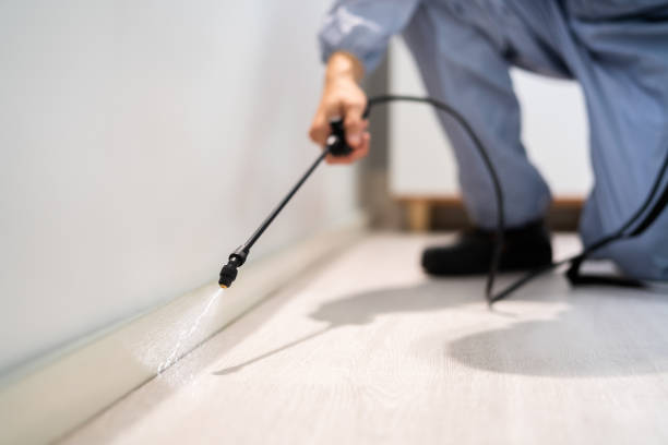 Licensed Termite Control service in Edgard, LA - Nex Pest Control