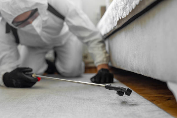 Professional Termite Control technician working in Edgard, LA