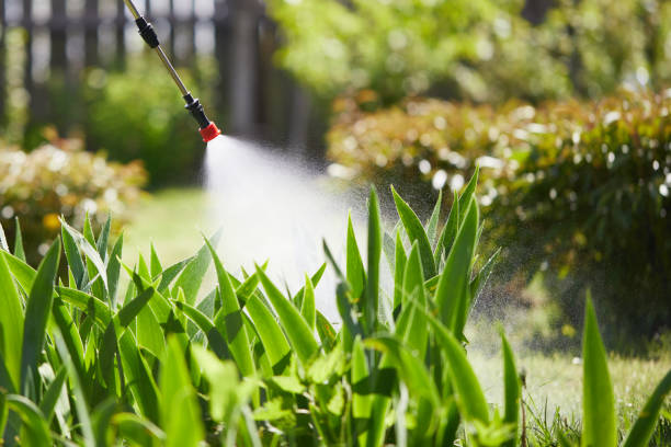 24/7 Emergency Termite Control experts in Edgard, LA