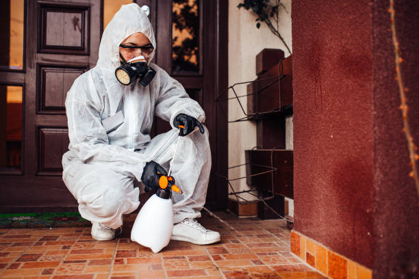 Reliable Termite Control contractor in Edgard, LA by Nex Pest Control